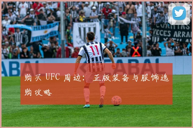 购买 UFC 周边:正版装备与服饰选购攻略