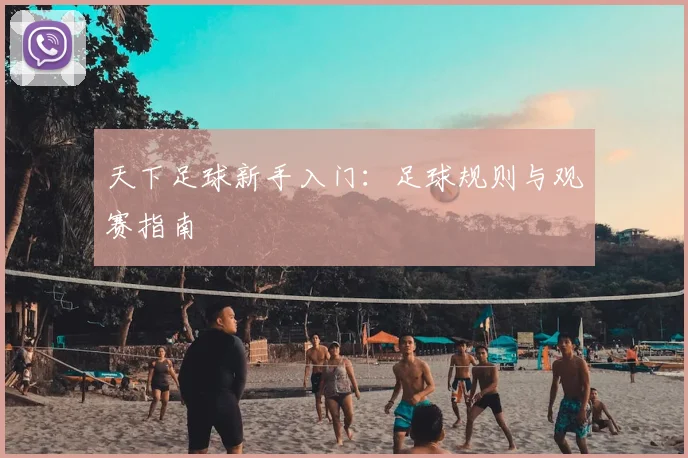 天下足球新手入门:足球规则与观赛指南