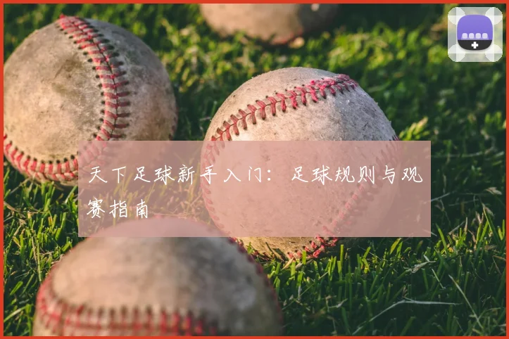 天下足球新手入门:足球规则与观赛指南