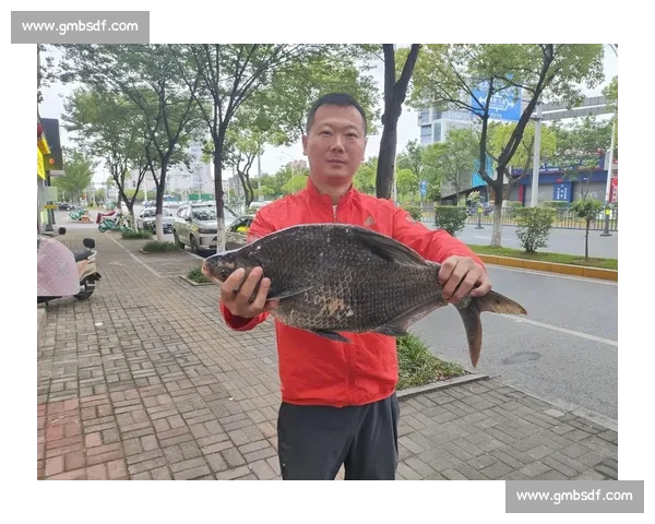 小孩哥单手擒大鱼！钓鱼佬：我的装备白升级了